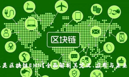 什么是区块链EMN？全面解析其定义、应用与未来发展