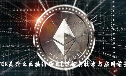 TER是什么区块链项目？详解其技术与应用前景