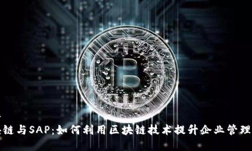 文件  
区块链与SAP：如何利用区块链技术提升企业管理效率